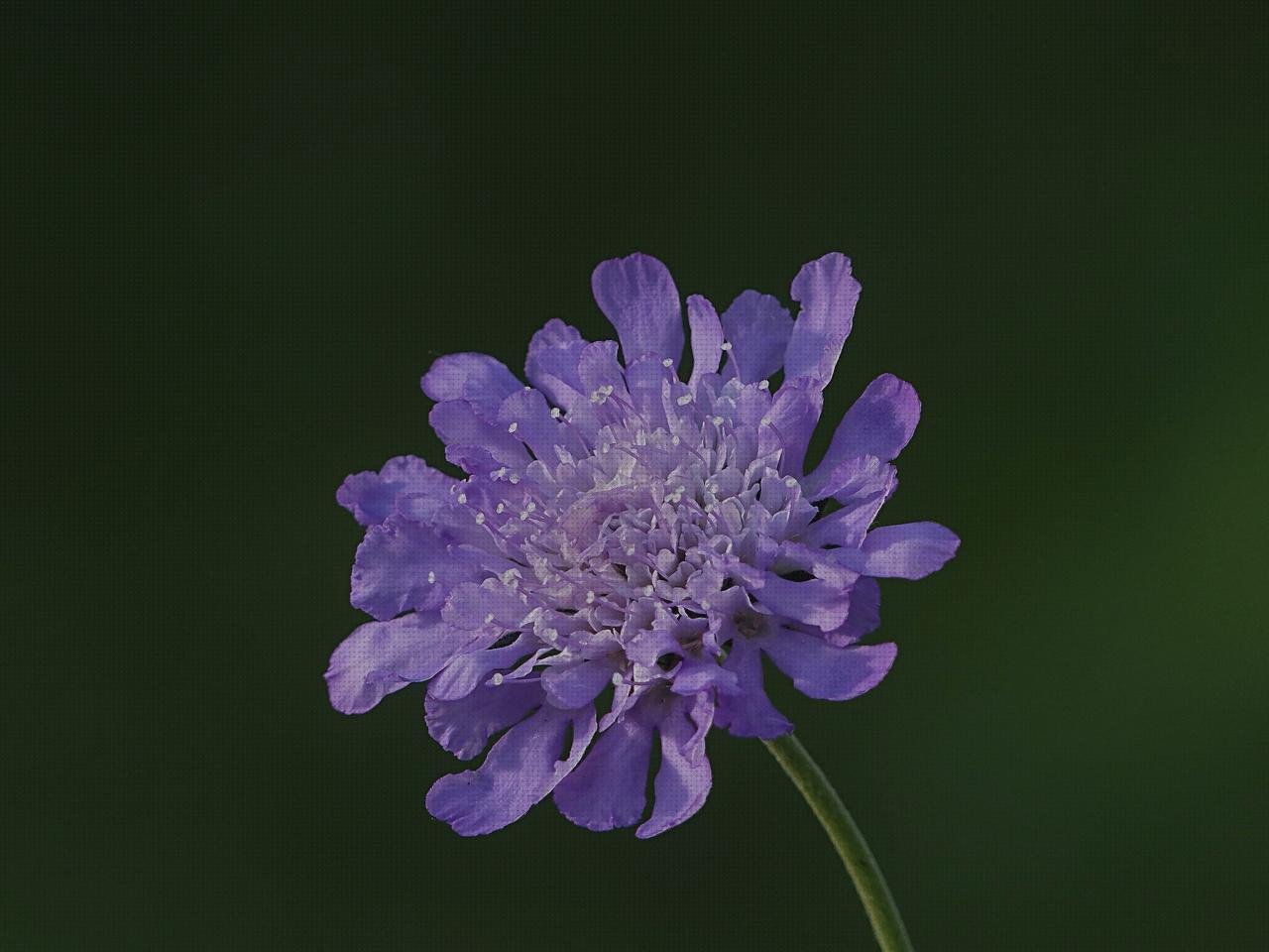 ¿Dónde poder comprar cortal metacrilato panera metacrilato perchero metacrilato columbario metacrilato?