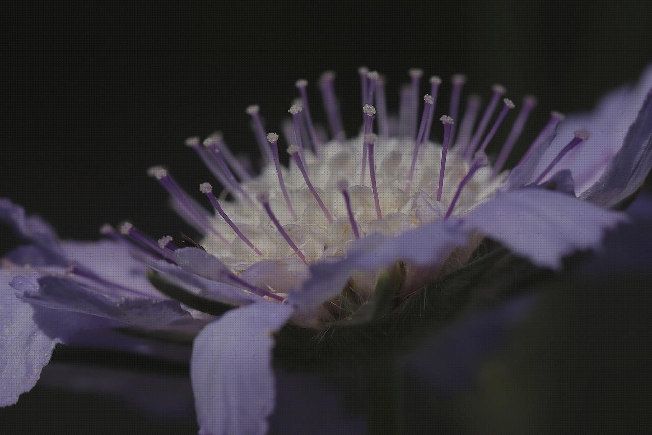 Las mejores marcas de cortal metacrilato panera metacrilato perchero metacrilato columbario metacrilato