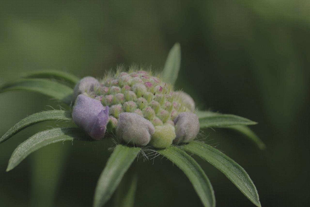 Las mejores cortal metacrilato panera metacrilato perchero metacrilato columbario metacrilato