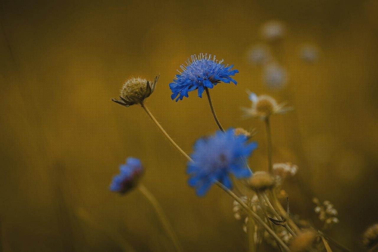 Review de columbario metacrilato