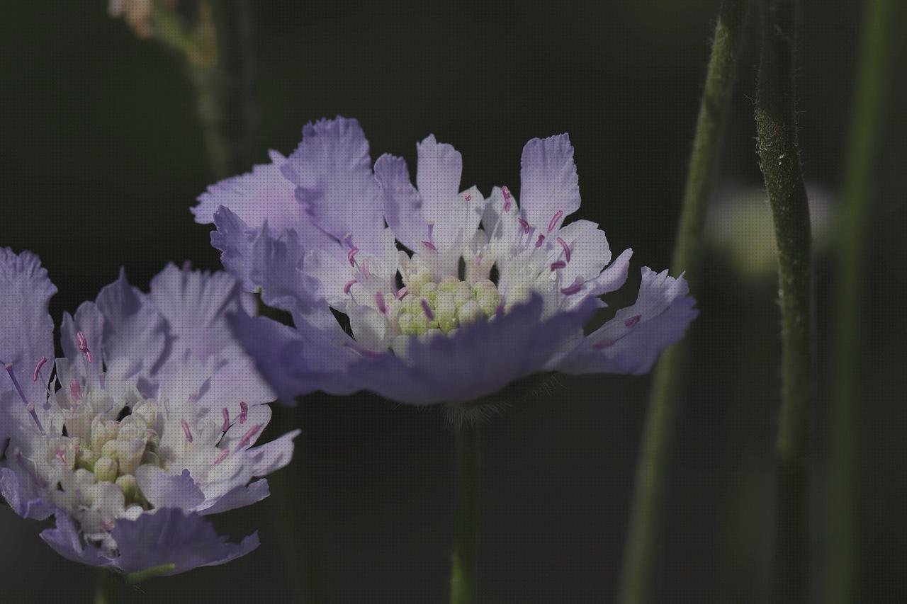 Análisis de los 16 mejores Columbario Metacrilato