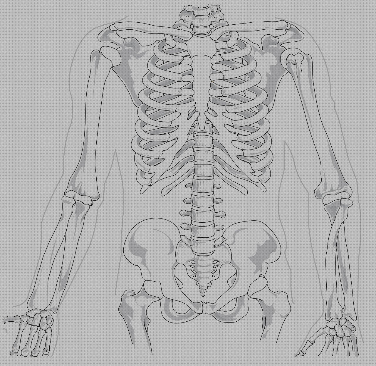 Review de columna vertebral plastico