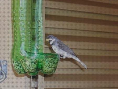 Las mejores ave botellas de plástico botellas comedero de aves con botellas de plástico