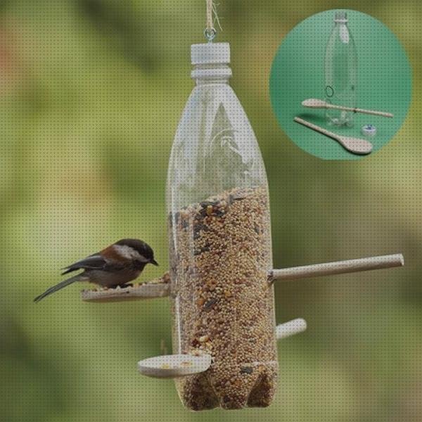 ¿Dónde poder comprar casas con botellas de plástico sahara casa con botellas de plástico sahara tiburon con botellas de plástico comederos de pajaros con botellas de plástico?