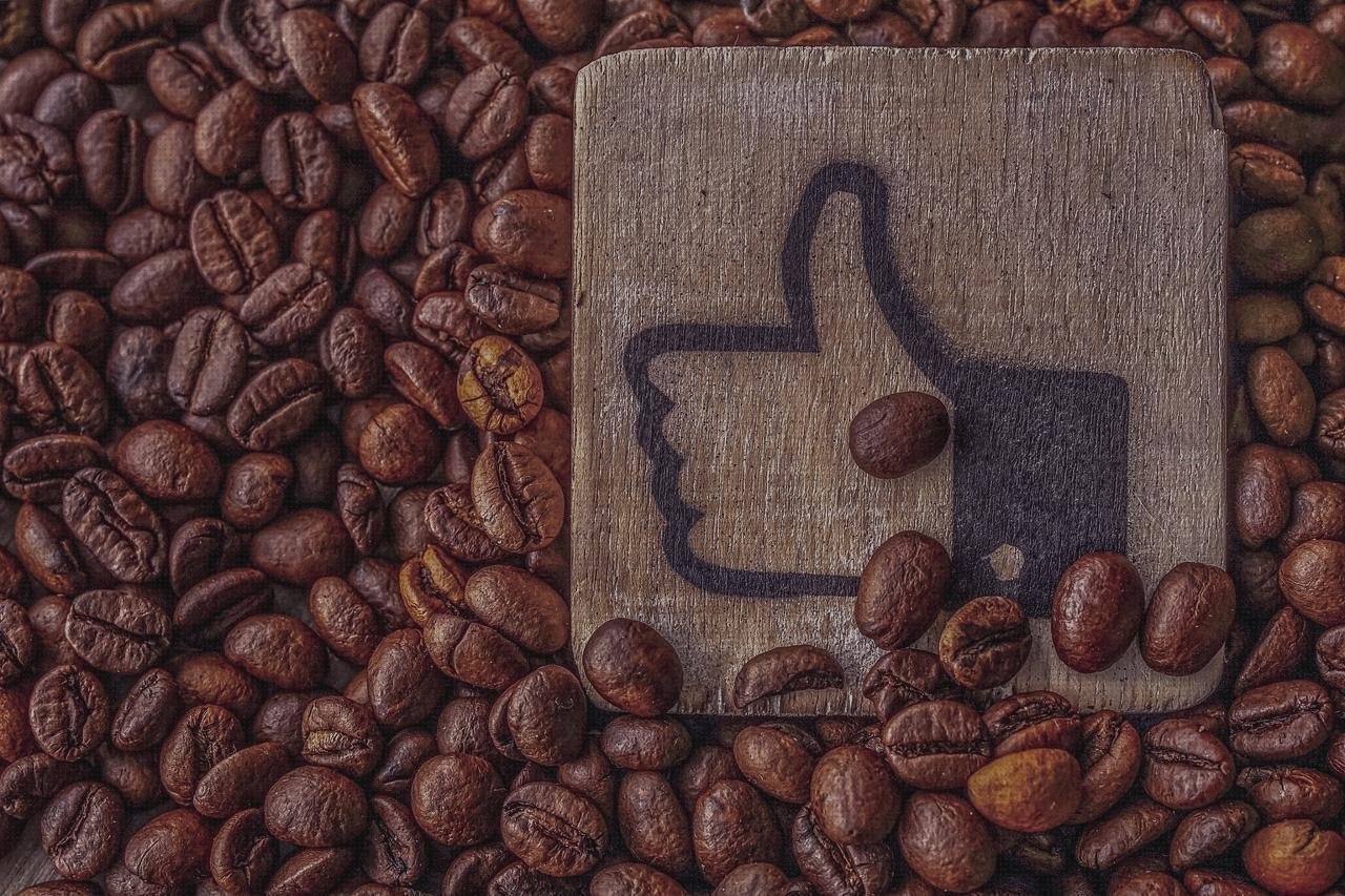 Las mejores marcas de cortal metacrilato panera metacrilato perchero metacrilato comp metacrilato