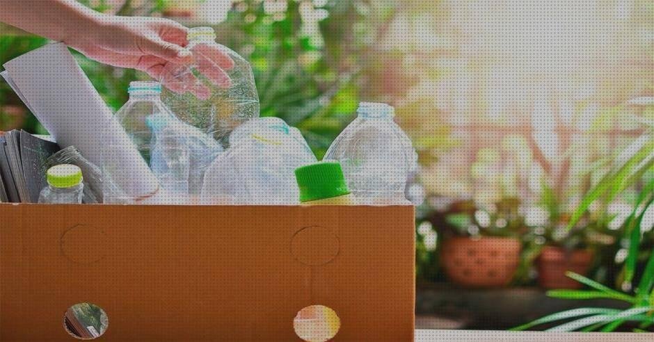 Las mejores compostable