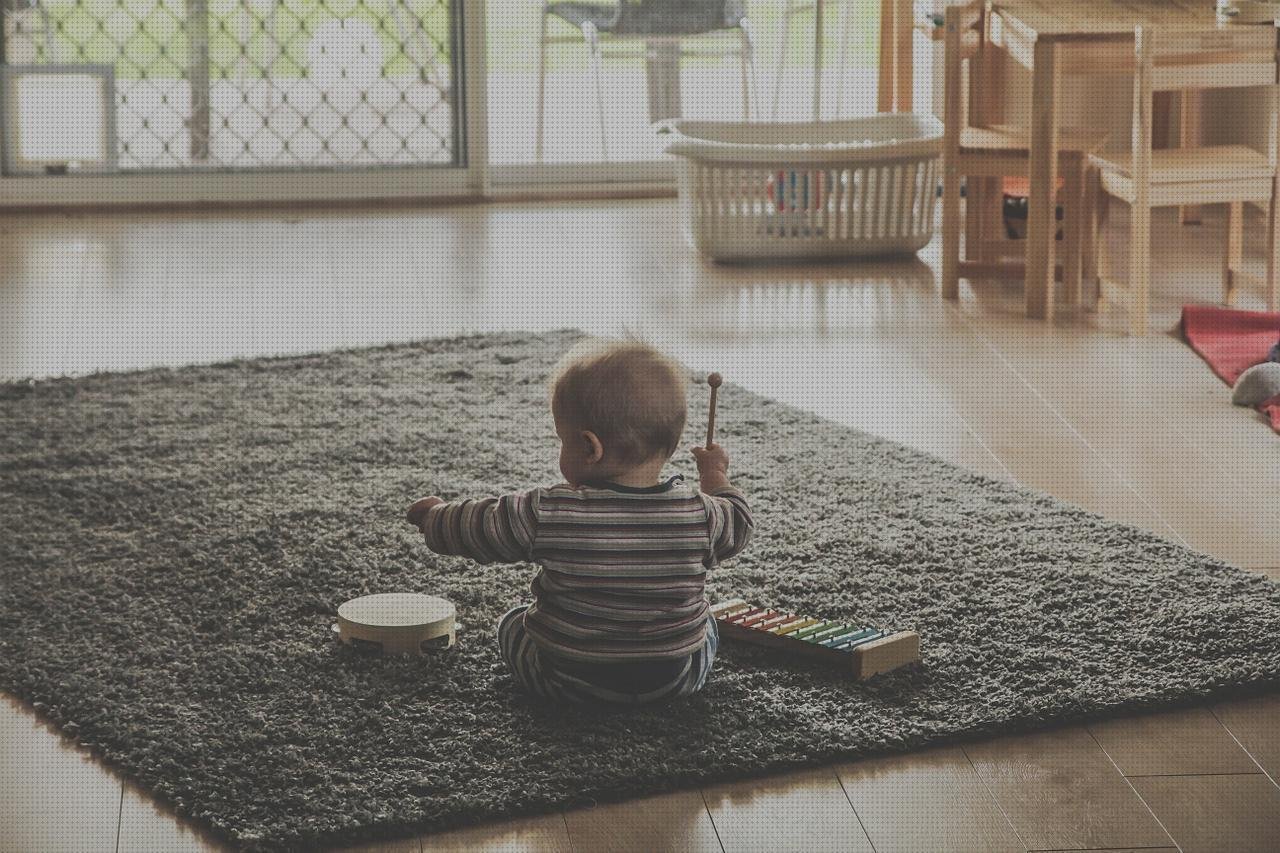 Las mejores 3 Conductividad De Policarbonato Invernaderos