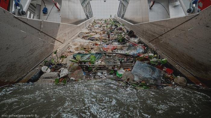 Las mejores marcas de cajonera de 17 cmt de ancho de plástico calewntador de silicona silicona neutra inox contaminación de fibras de plástico en el agua