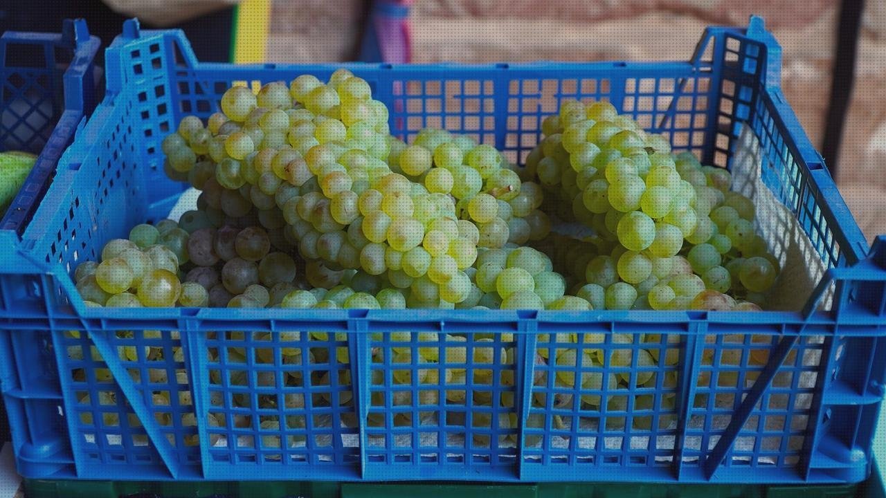 Las mejores contenedores plástico contenedor de plastico comida