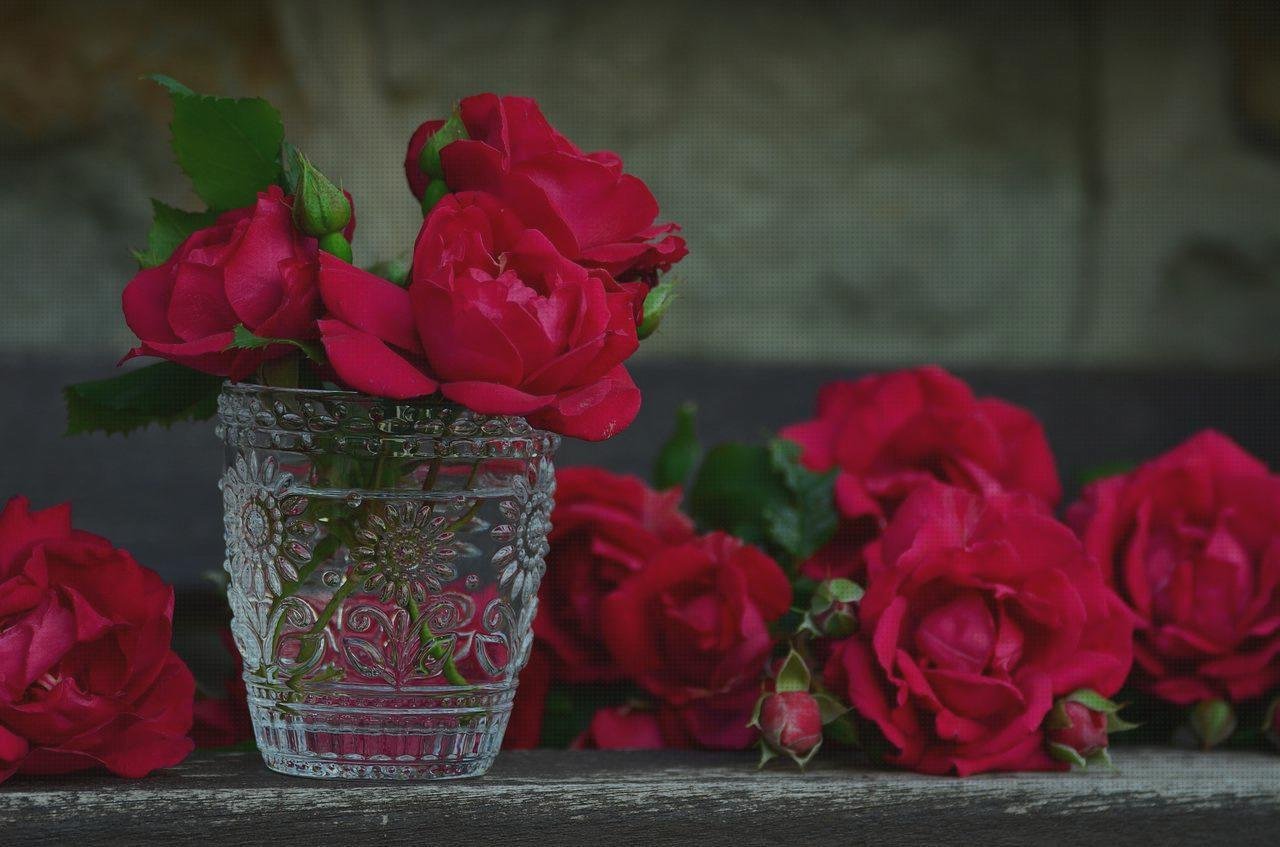 Opiniones de contenedores plástico contenedor de plástico con tapa redondo