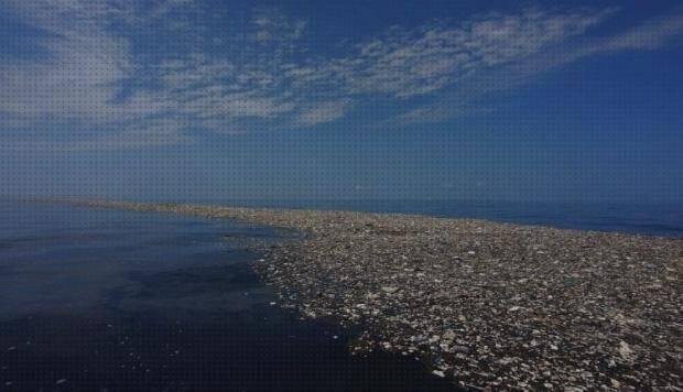 ¿Dónde poder comprar continente de plastico?