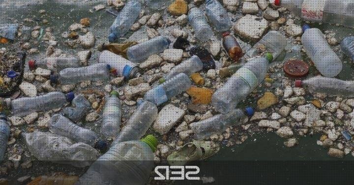 Análisis de los 8 mejores Continentes De Plásticos