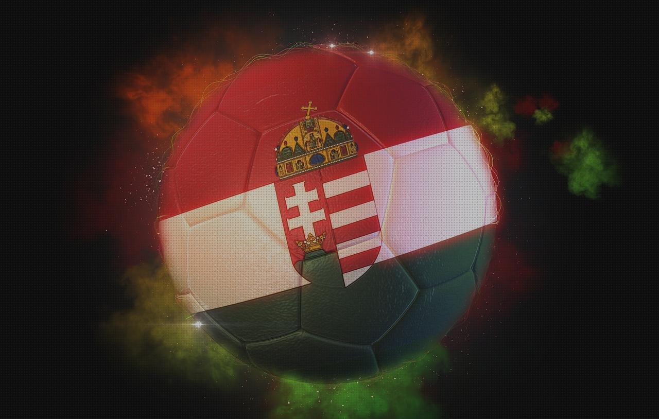 Review de copas balon policarbonato
