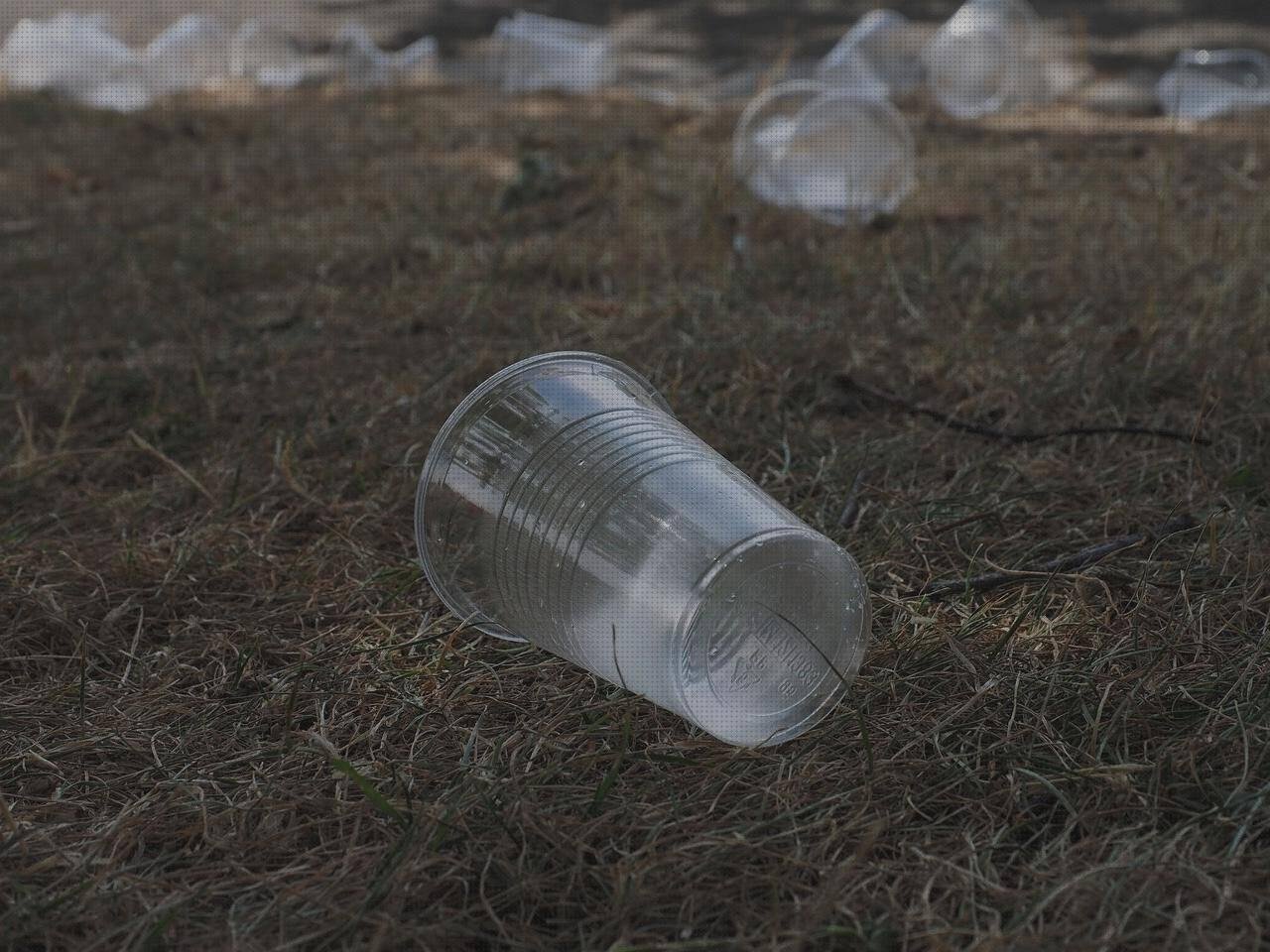 Las mejores marcas de copes de plastico emperador de plástico emperador de plastico copes de plastico de champan
