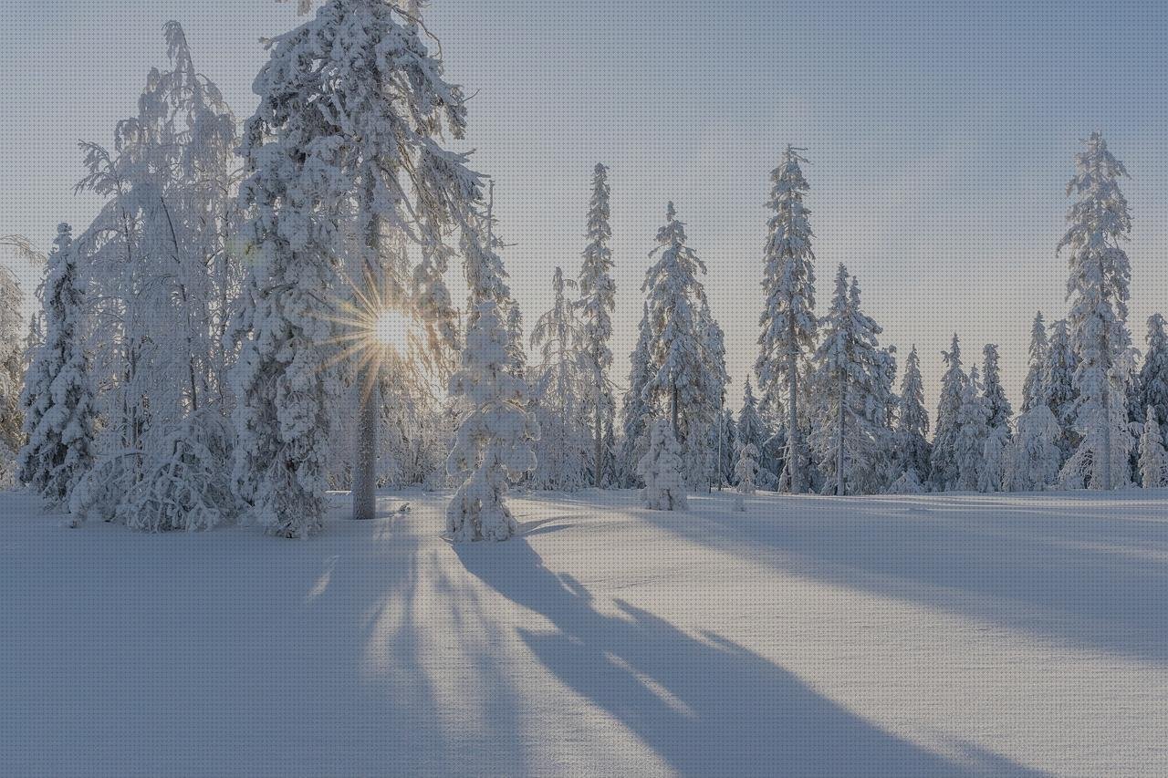 Las mejores marcas de cubrepiernas moto custom metacrilato cupula moto custom metacrilato ciervo de metacrilato copo de nieve en metacrilato