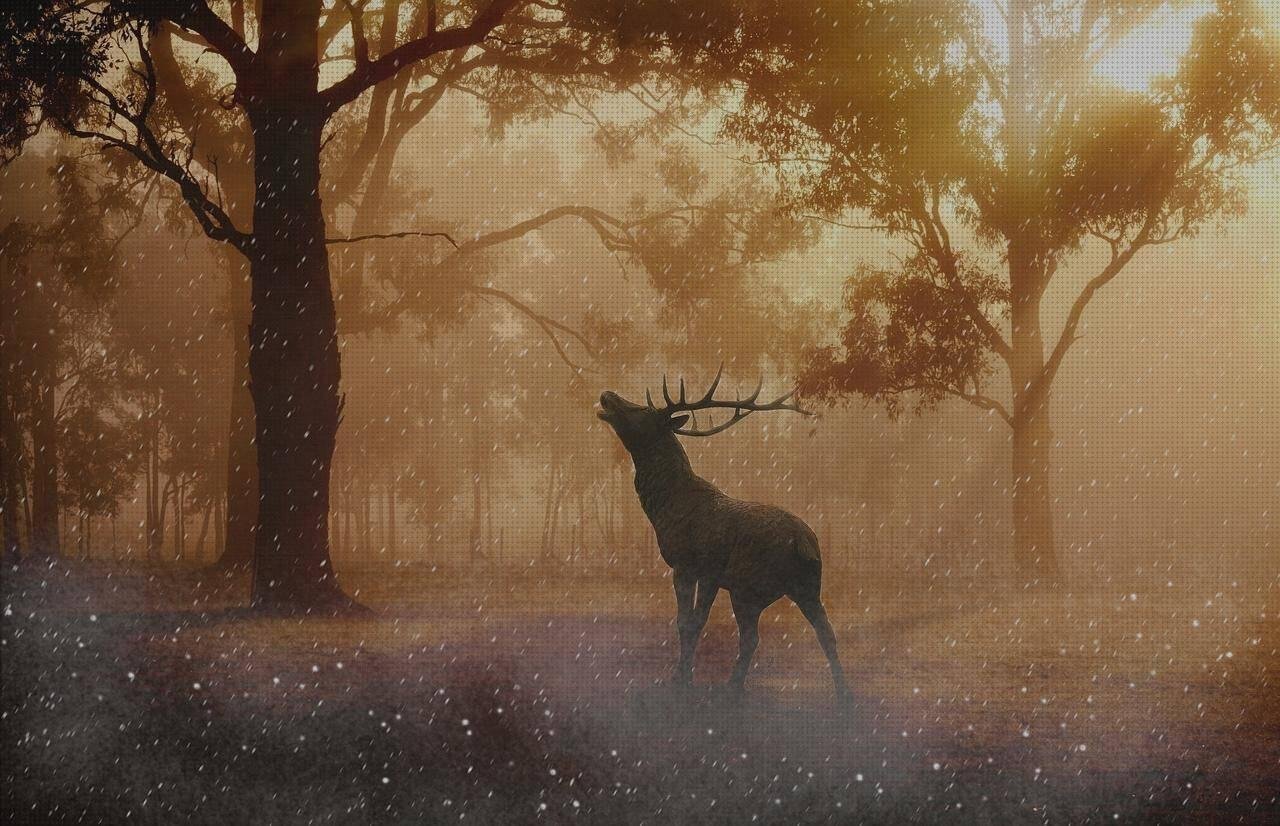 Las mejores copo tulipa plastico bañeroa de plástico adultos bañera plastico adultos copo de nieve policarbonato