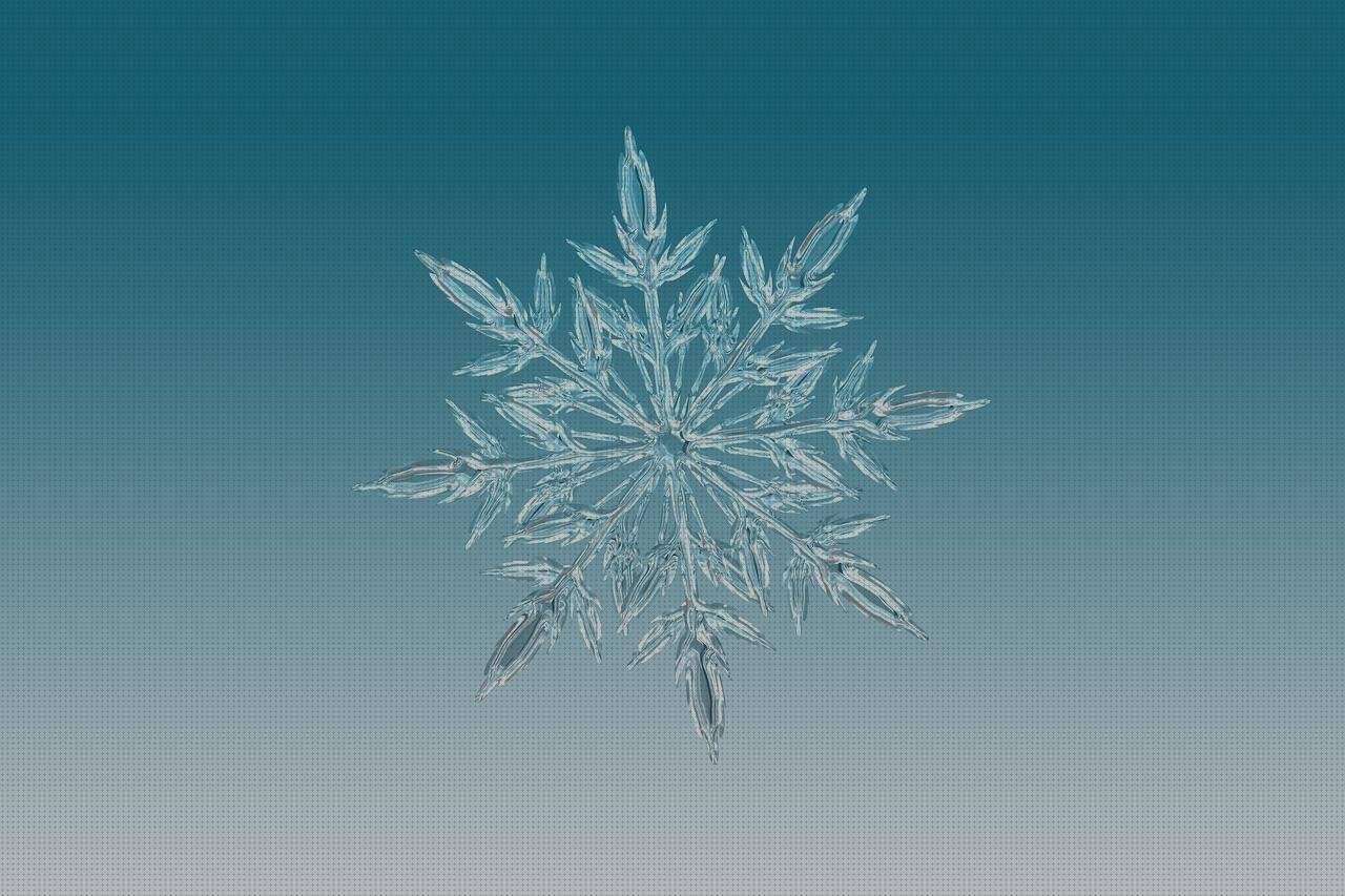 Review de copo de nieve policarbonato