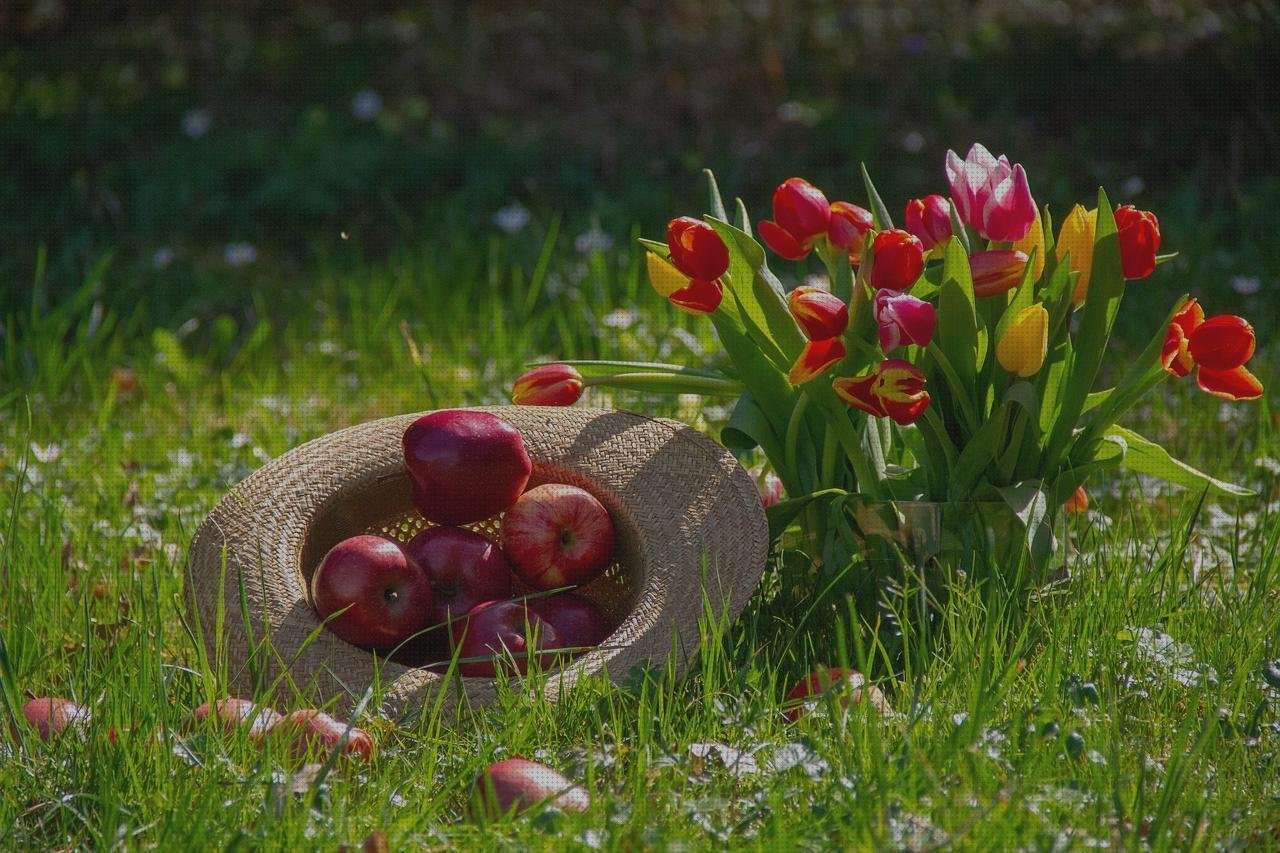 Análisis de los 6 mejores Copos Tulipa De Plásticos