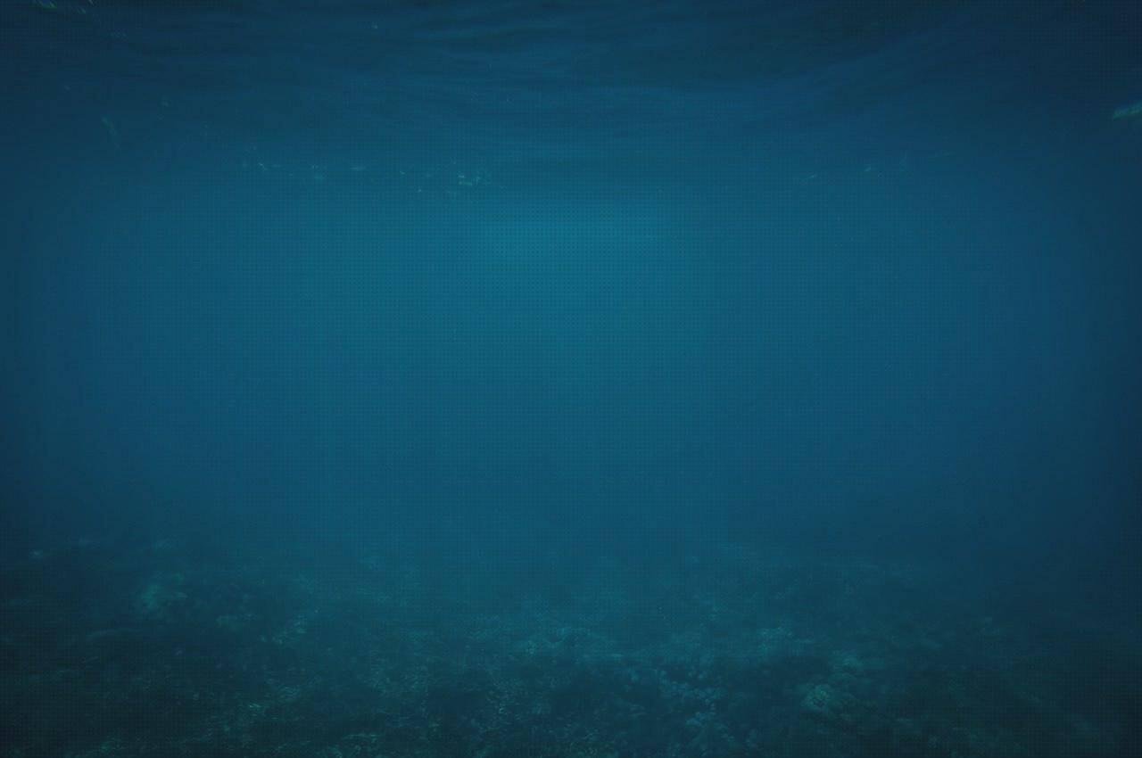 Las mejores marcas de corales con plástico bañeroa de plástico adultos bañera plastico adultos coral los an melamina