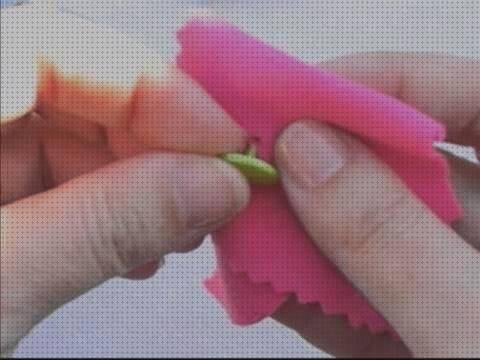 Las mejores corchetes plástico Más sobre funda s10 silicona Más sobre colmenas de plástico corchetes de plástico