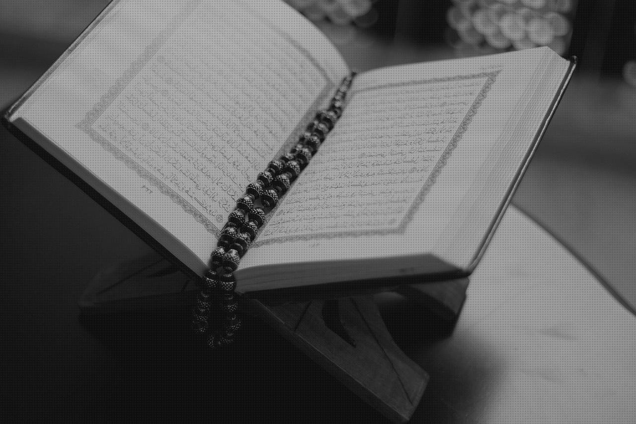 Los mejores 22 Core Metacrilato