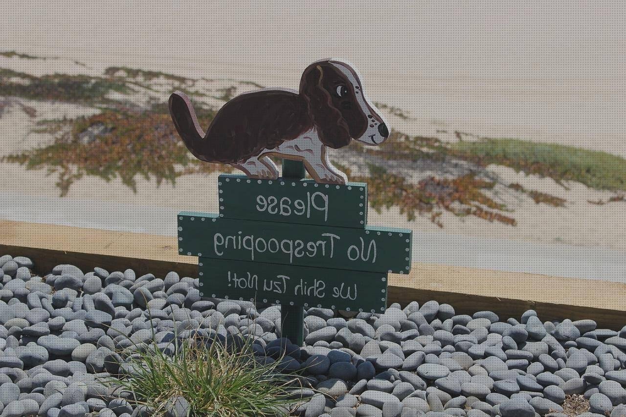 Review de correa de plástico táctico