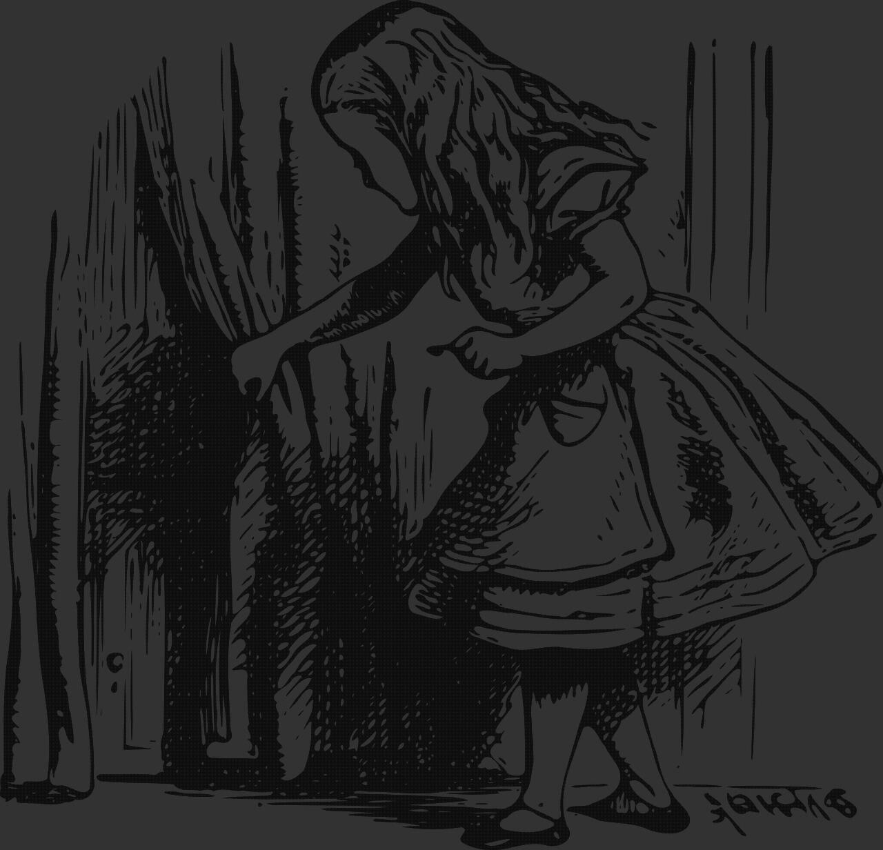 Las mejores cortinas plasticas cortina entrada de plastico