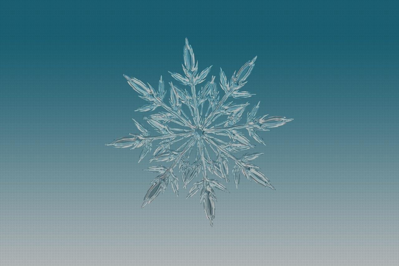 Las mejores marcas de cubrepiernas moto custom metacrilato cupula moto custom metacrilato ciervo de metacrilato cristal metacrilato mesa 90 40