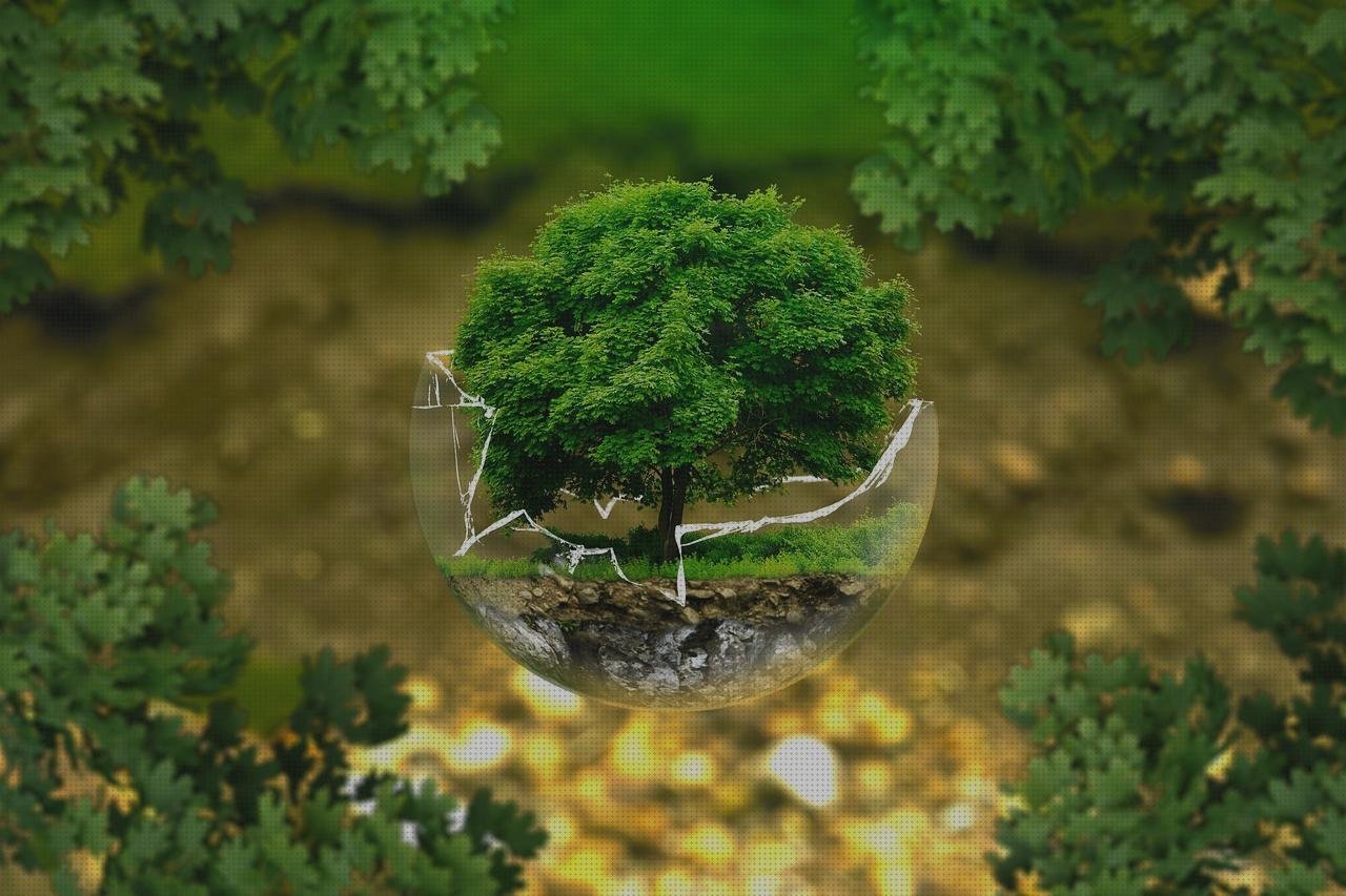 Las mejores marcas de caja de metacrilato 15x15 bezel metacrilato cortal metacrilato cristal metacrilato policabonato