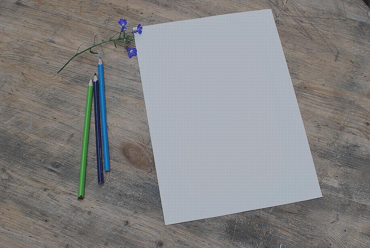 Los 3 Mejores Cuadernos Con Hojas De Plásticos