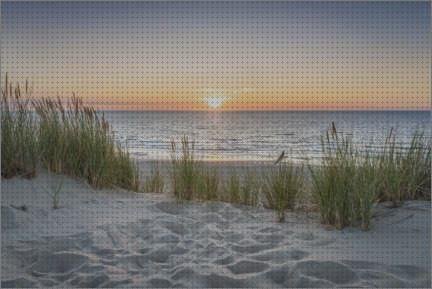 Las mejores marcas de cubrepiernas moto custom metacrilato cupula moto custom metacrilato ciervo de metacrilato cuadro de metacrilato de 150 x 150 cm