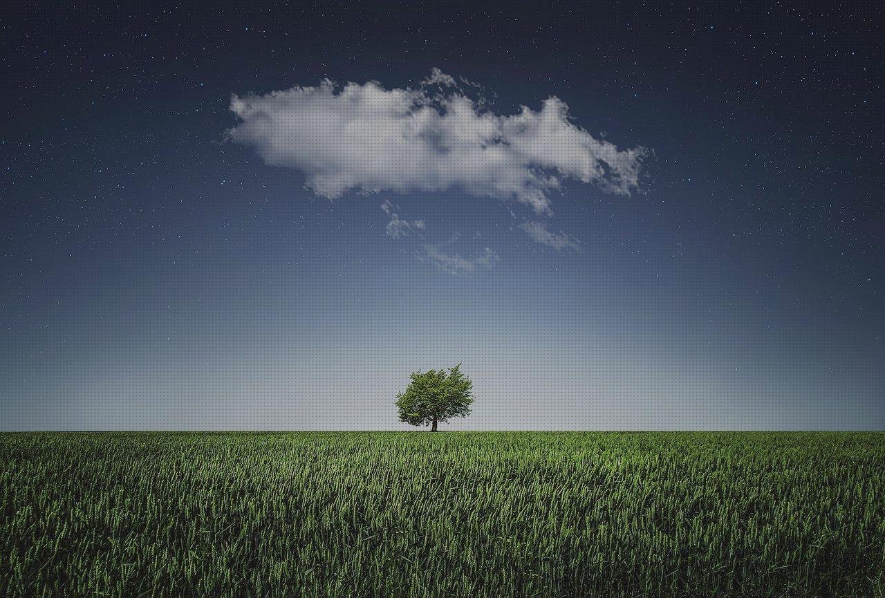 Las mejores fachada ventilada policarbonato ailsamiento policarbonato teléfonos fimsa melamina blanca cubierta de policarbonato ventilada