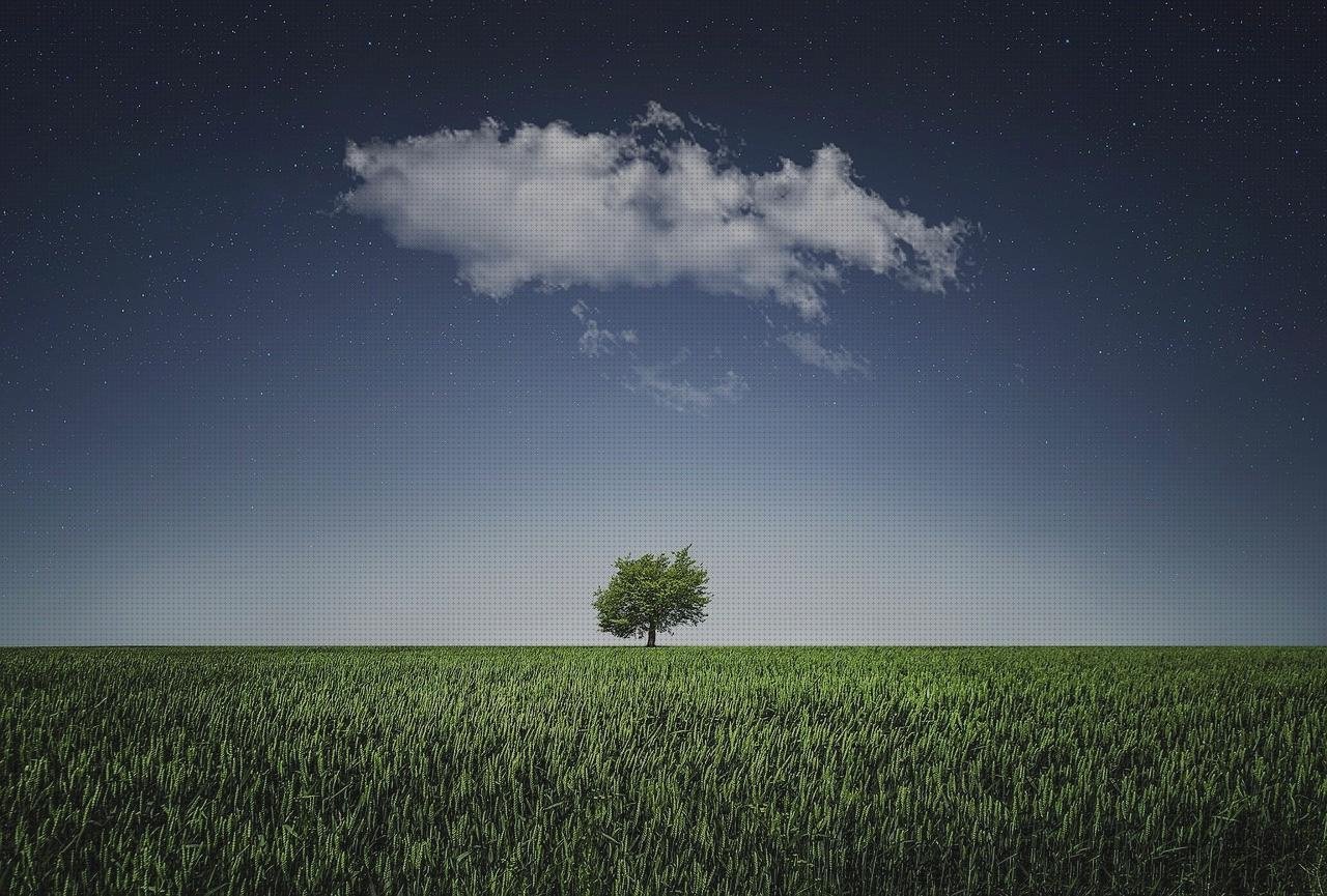 Las mejores marcas de cubiertos metacrilato metacrilato cubierta metacrilato oleo