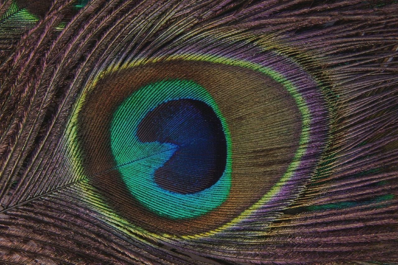 Review de cubierta metacrilato ordenadior