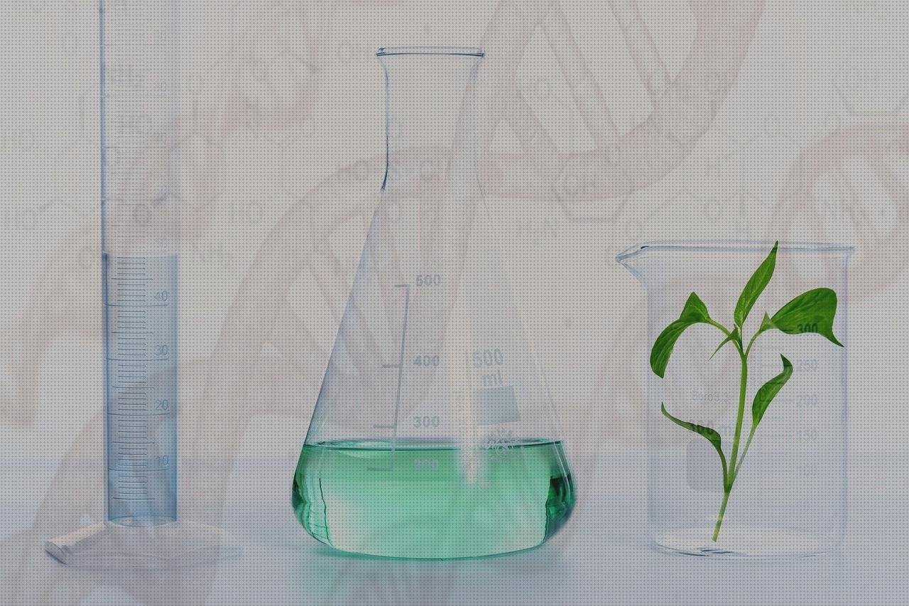 Las mejores marcas de panera metacrilato perchero metacrilato estructura metacrilato cubiletes metacrilato