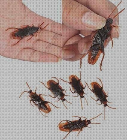 Review de cucarachas plástico