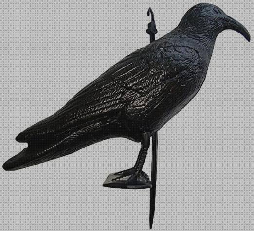 ¿Dónde poder comprar cuervos cuervos plastico?