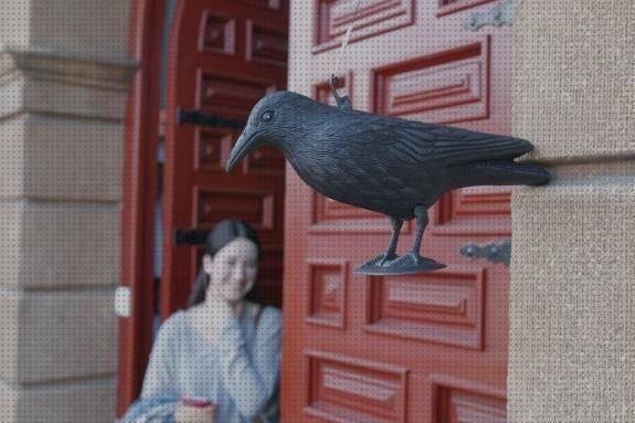 Los mejores 10 Cuervos De Plásticos