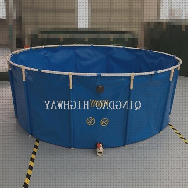 Los 4 Mejores Cultivo De Peces En Piscinas De Plástico