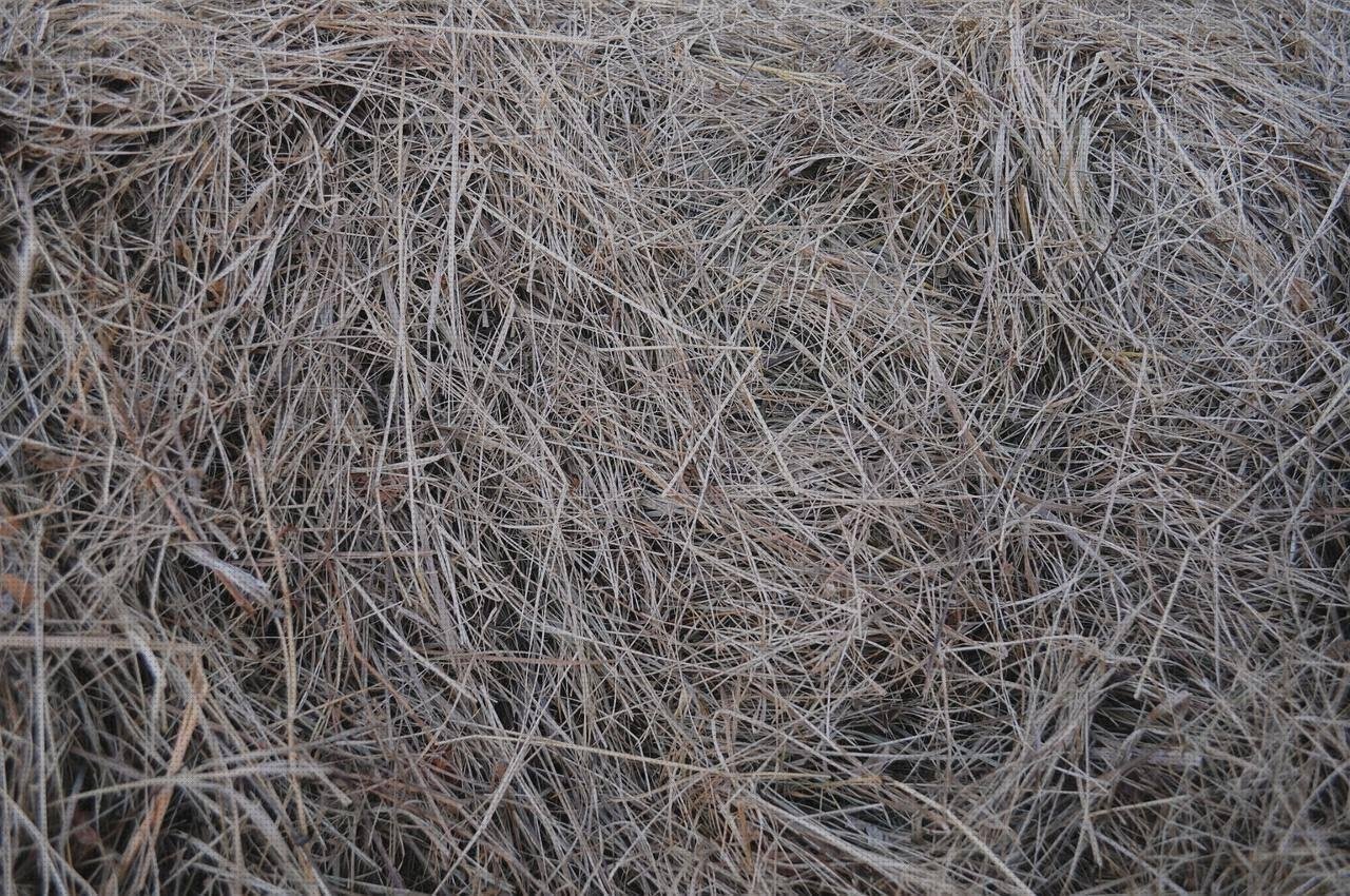 Las mejores cerco de colonia en melamina cerco perimetral de plastico abrasivos de formato plástico desecador policarbonato