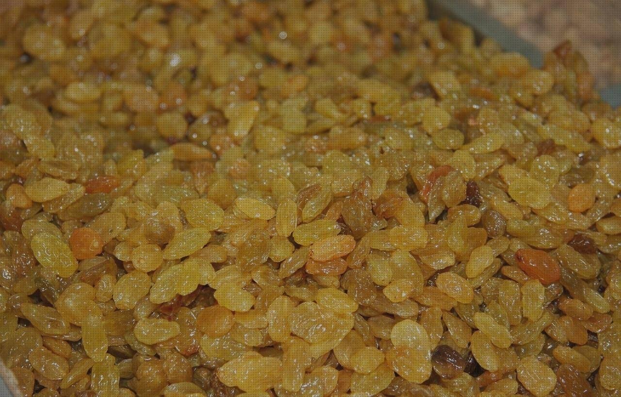 Review de desecador policarbonato