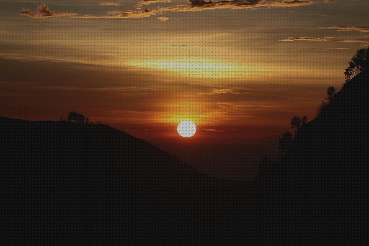 Análisis de los 20 mejores Disco Sierra Circular Melamina