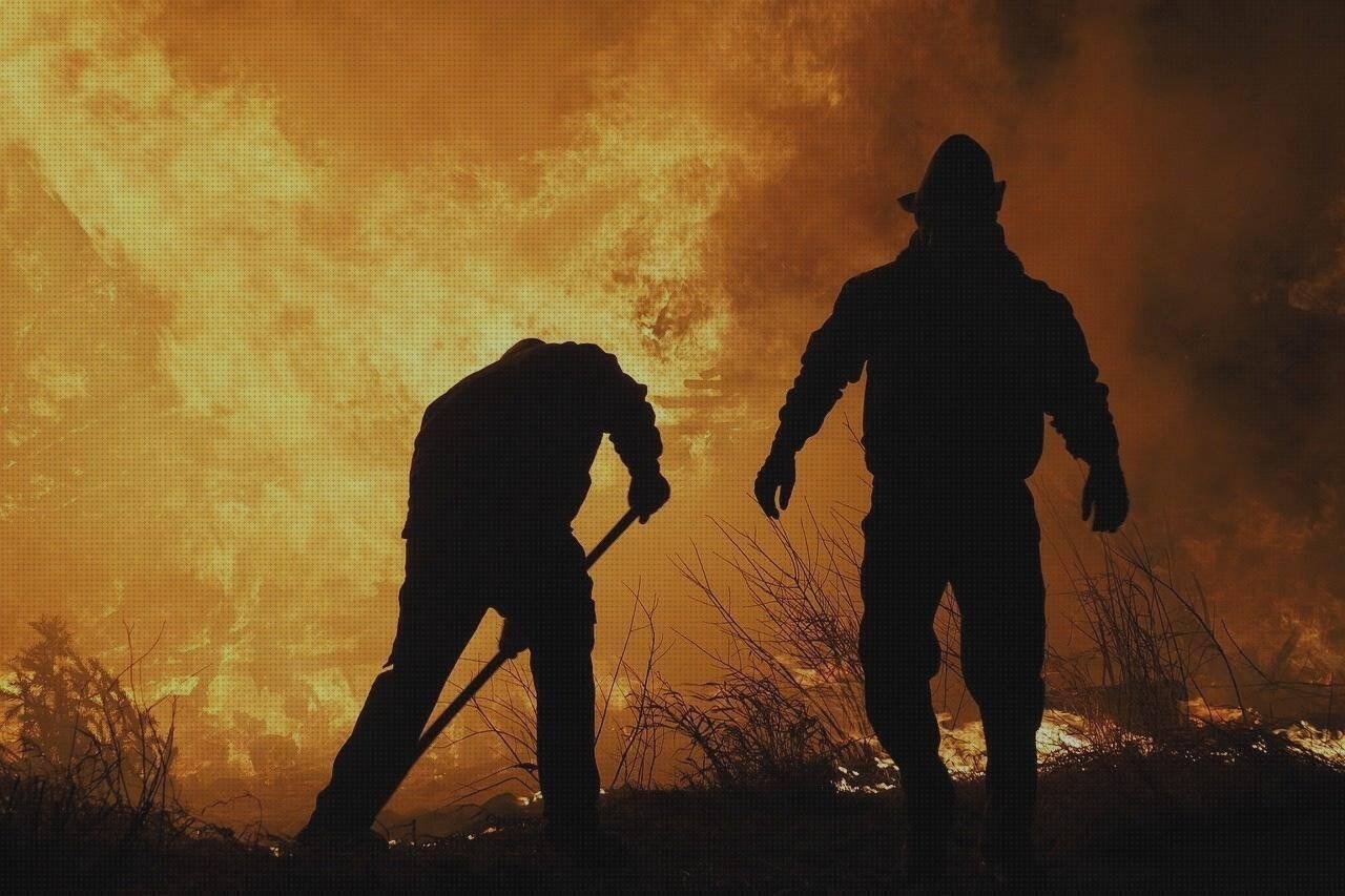 ¿Dónde poder comprar Más sobre cama de silicona Más sobre caja plástico infantiles Más sobre talonera silicona anatomicas eliminador de silicona?