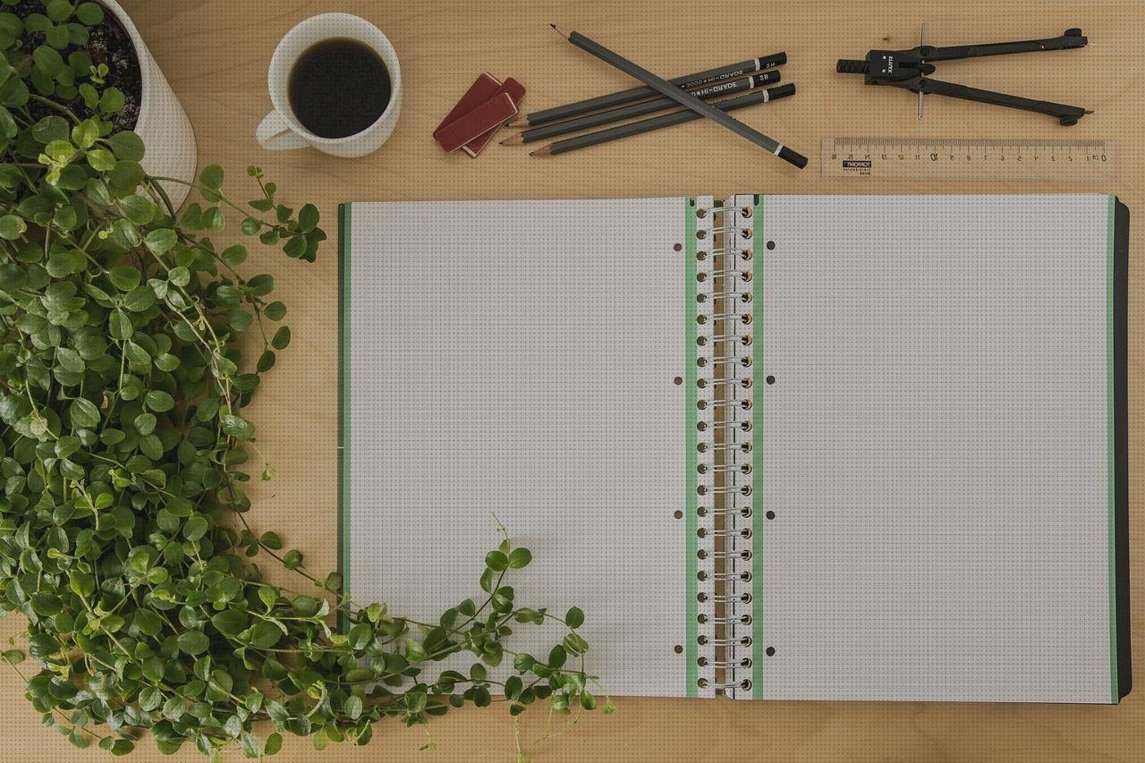 Review de encuadernación de plástico