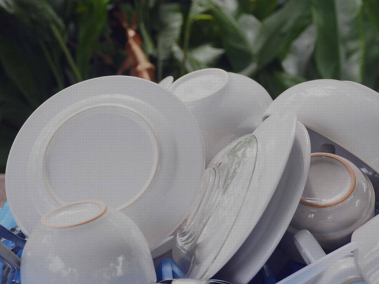 Análisis de los 21 mejores Escurreplatos Ikea De Plastico