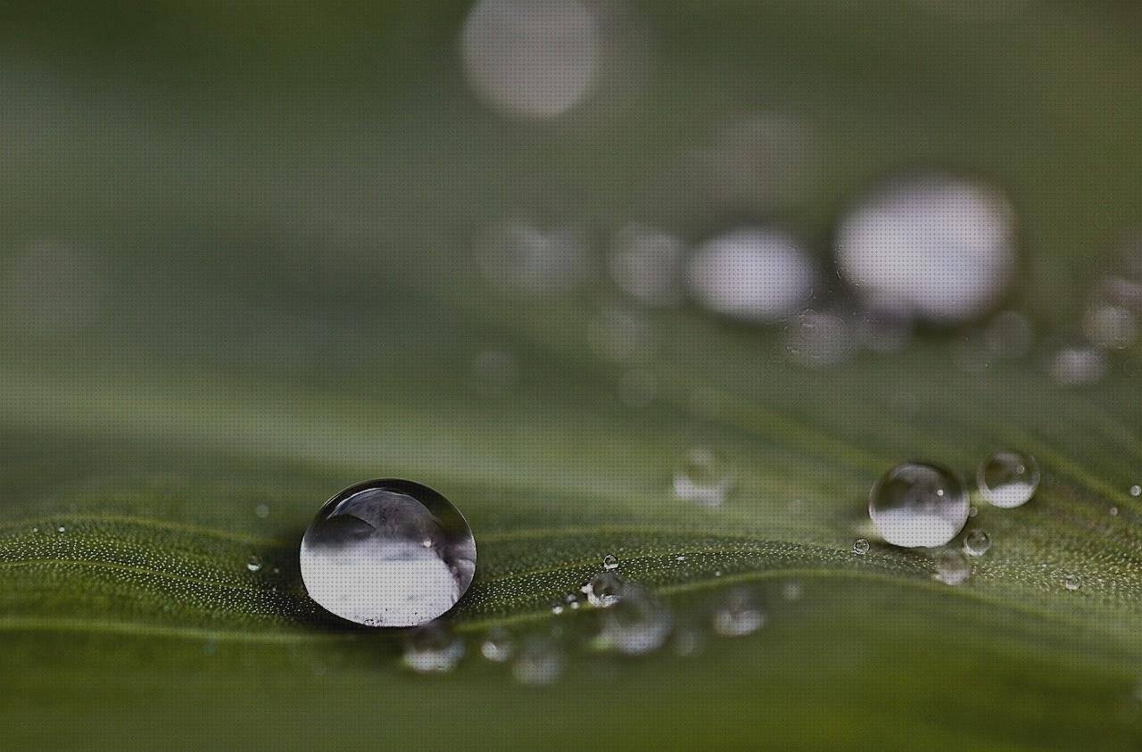 Las mejores marcas de esferas plástico Más sobre talonera silicona anatomicas Más sobre muñecas de silicona grandes esferas de plástico