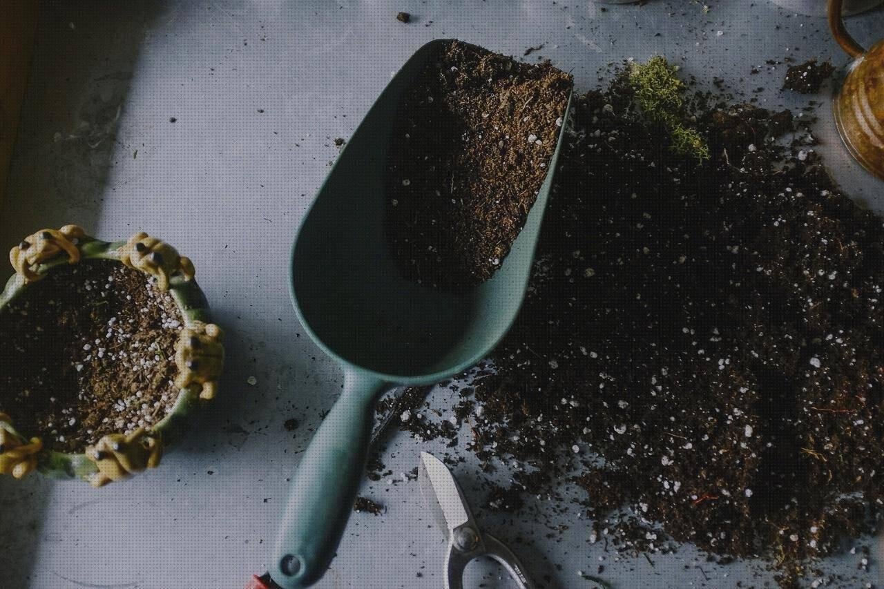 Análisis de las 20 mejores Espátulas De Policarbonato Cocina