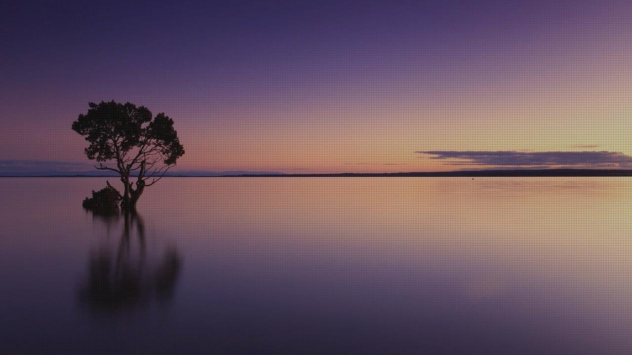 Los 6 Mejores Espejo Policarbonato Metacrilato