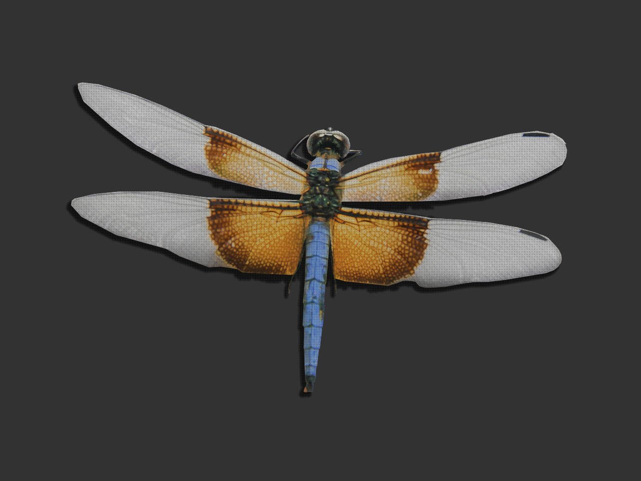 ¿Dónde poder comprar Más sobre caja plástico infantiles Más sobre talonera silicona anatomicas Más sobre muñecas de silicona grandes espumadera silicona?