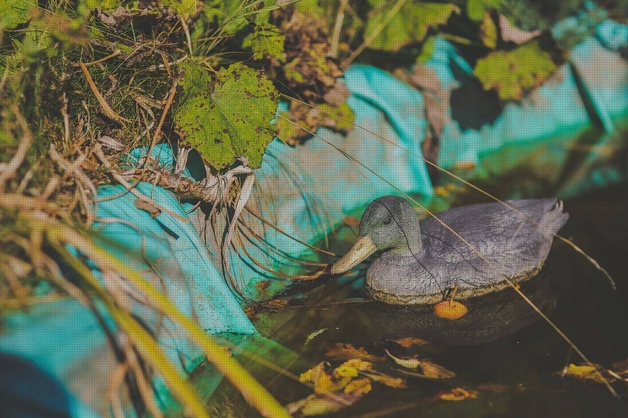 Las mejores madera prensada tapa de melamina melamina prensada cerco de colonia en melamina estanque plastico